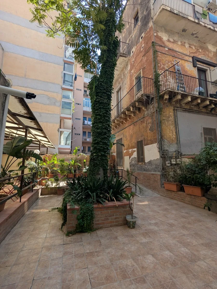 Associazione S.S.A. Sirio - Catania