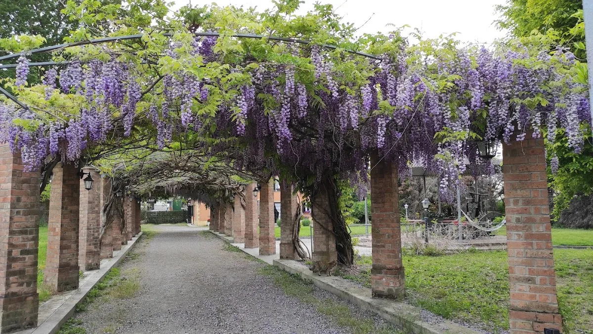 Casa del glicine ...moletolo - Parma