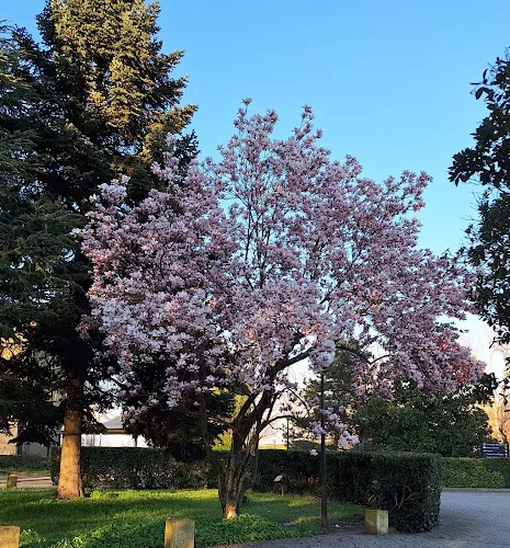 Casa di Riposo San Riccardo Pampuri - Trivolzio