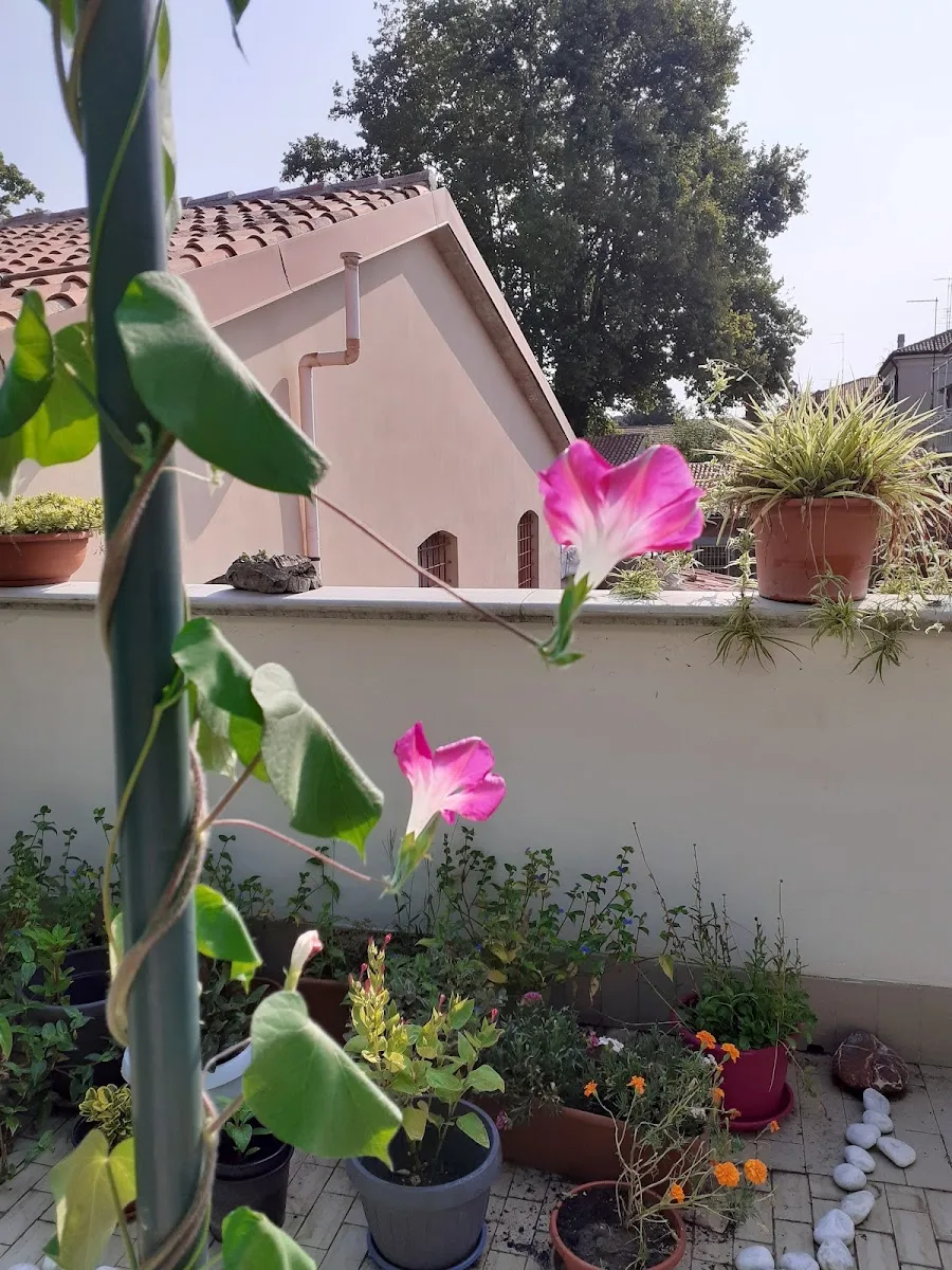 Casa Fiorita - Ferrara - Foto 4