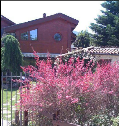 Comunità Alloggio Malù - Contigliano - Foto 3