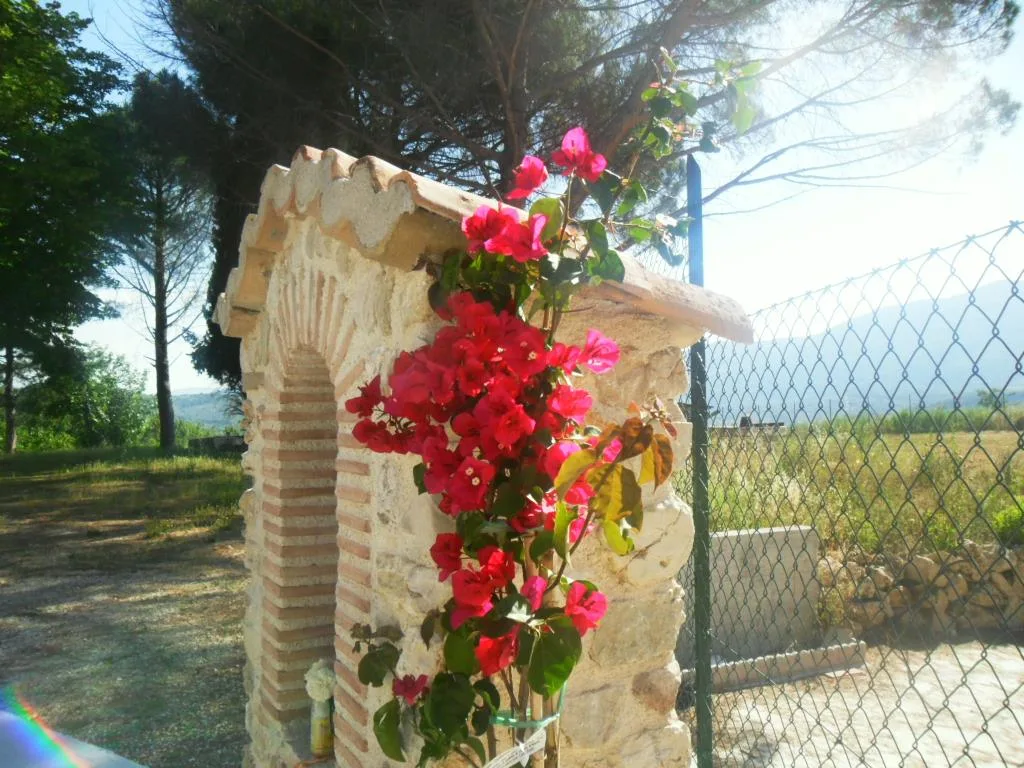 Gli Ulivi, Comunità alloggio per Anziani - Poggio Corese - Foto 6