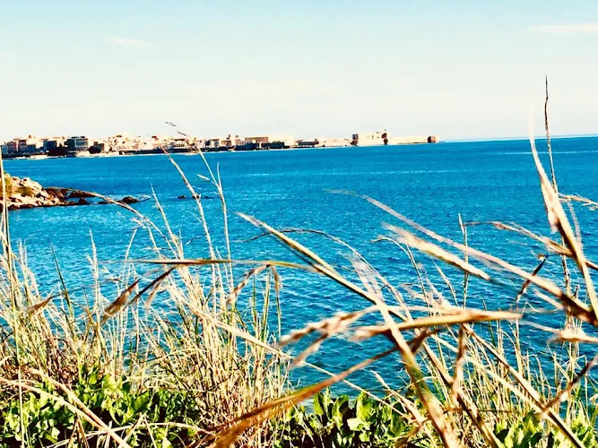 Isola Del Sorriso - Syracuse