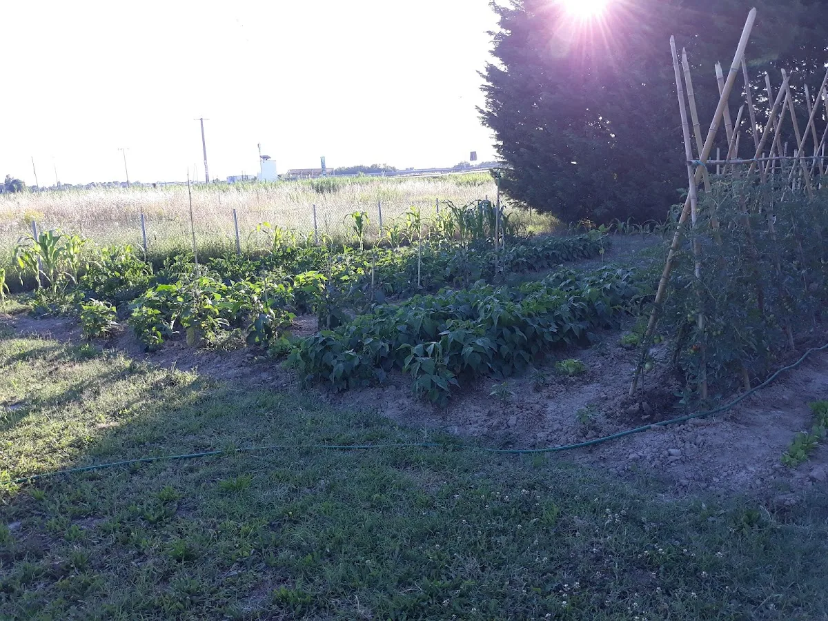 La Fattoria dei Nonni Casa Famiglia per Anziani - Ravenna - Foto 3