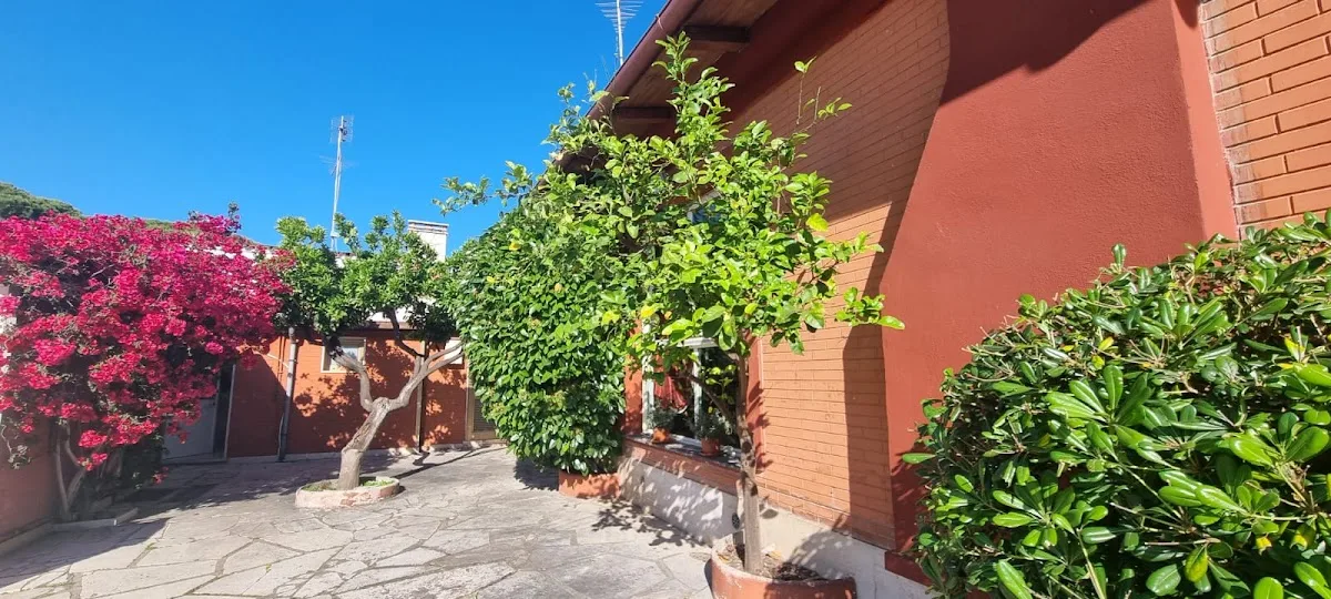 La Gioia dei Nonni - Rome - Foto 2