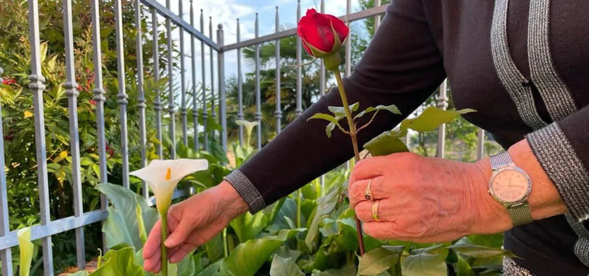 Mariquita Centro Diurno - Vicenza