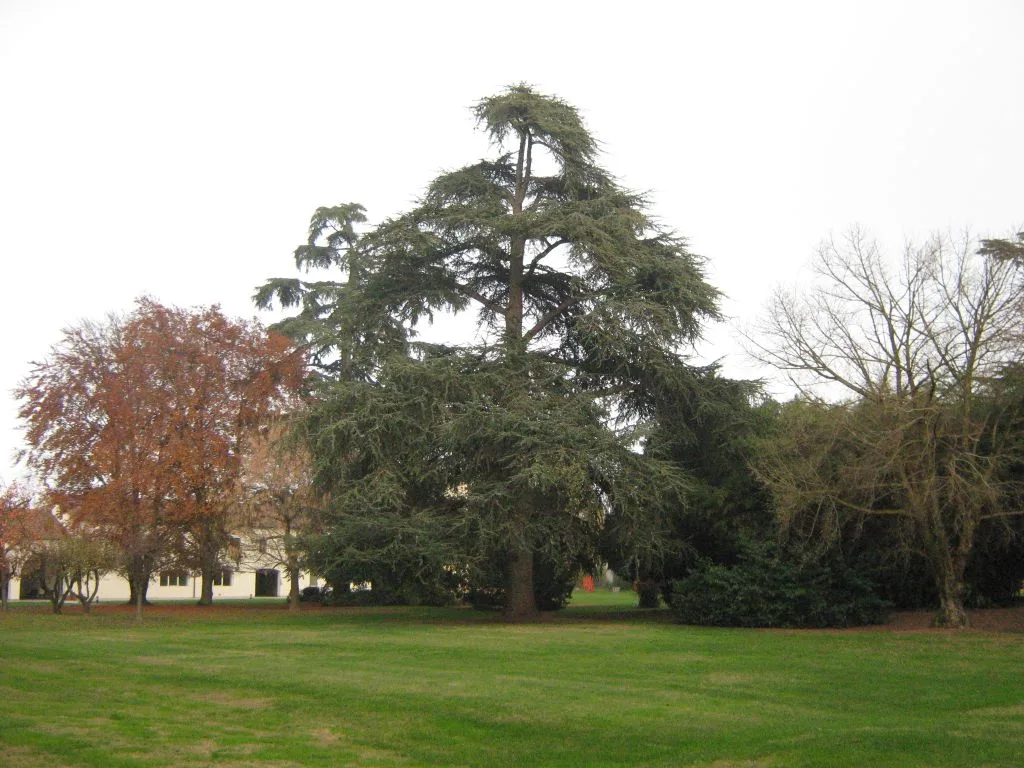 Residenza Anna Maria Bressanin - Fondazione OIC onlus - Borgoricco - Foto 3