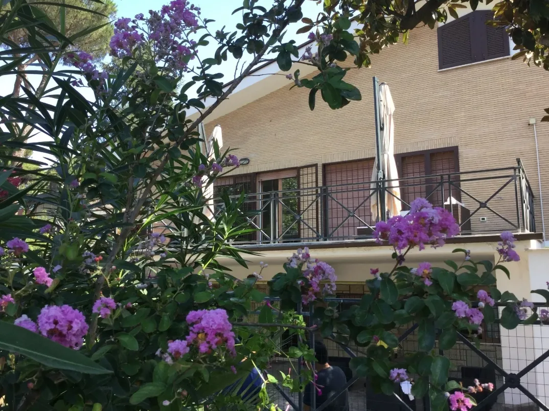Residenza Stella - Casa di riposo Roma EUR - Rome - Foto 3