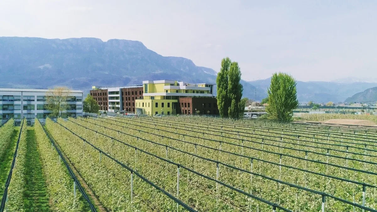 Seniorenresidenz Melitta Care - Residenza per Anziani Melitta Care - Bolzano - Foto 3