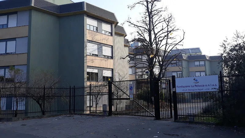 The Geriatric Institute Foundation Onlus Pelucca - Sesto San Giovanni