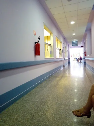 the Handmaids of Charity Nursing Home - Cremona